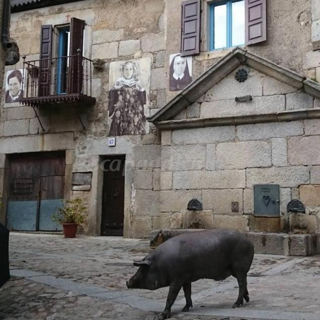 Casa Rural Amparo Могарас Екстериор снимка