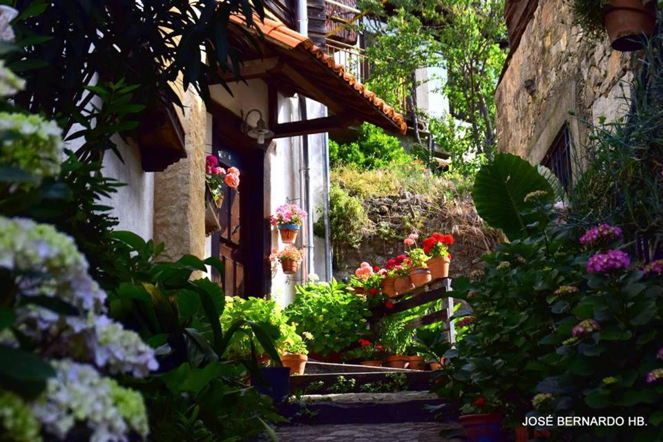 Casa Rural Amparo Могарас Екстериор снимка